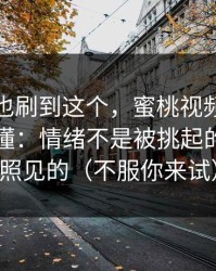 你要是也刷到这个，蜜桃视频在线看多了才懂：情绪不是被挑起的，是被照见的（不服你来试）