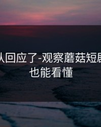 创作团队回应了-观察蘑菇短剧：新人也能看懂