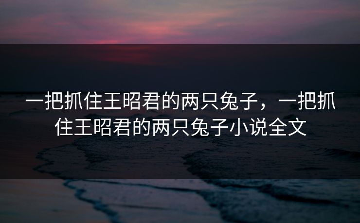 一把抓住王昭君的两只兔子，一把抓住王昭君的两只兔子小说全文