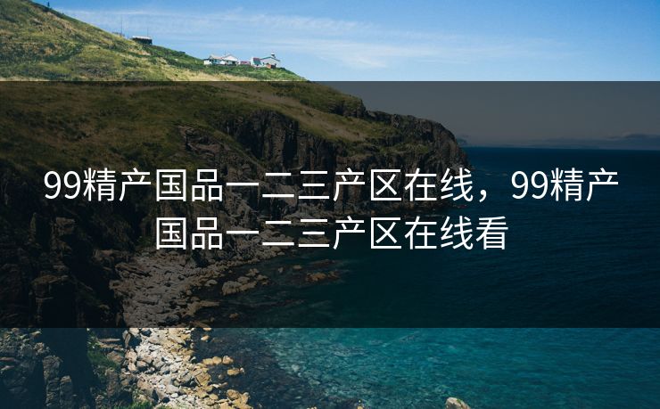 99精产国品一二三产区在线，99精产国品一二三产区在线看