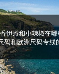 成品大香伊煮和小辣椒在哪些方面，亚洲尺码和欧洲尺码专线的区别