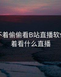 晚上睡不着偷偷看B站直播软件，睡不着看什么直播