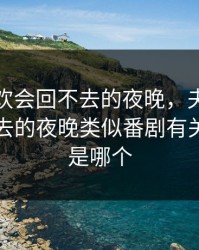 夫妇联欢会回不去的夜晚，夫妇联欢会回不去的夜晚类似番剧有关警察的是哪个