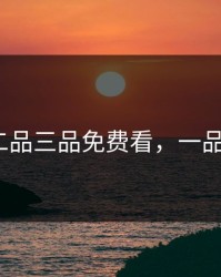 一品二品三品免费看，一品2官网