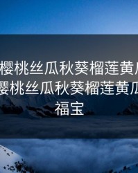 污草莓樱桃丝瓜秋葵榴莲黄瓜白狐，污草莓樱桃丝瓜秋葵榴莲黄瓜白狐幸福宝