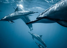 【速报】黑料科普：heiliao背后最少99%的人都误会了